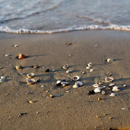 Апартаменты Comfortable Sea-front Flat Бибионе