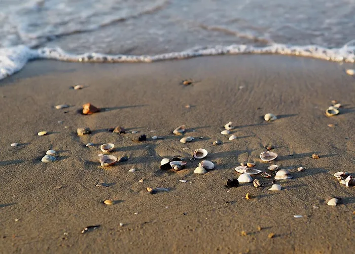 Apartment Comfortable Sea-front Flat Bibione